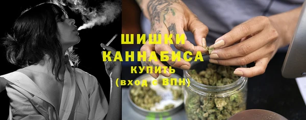 молекула духа Заводоуковск