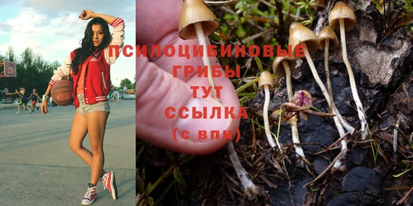 круглые Заволжье
