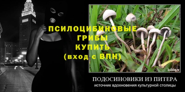 mdpv Заволжск