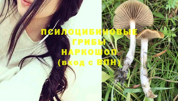 молекула духа Заводоуковск