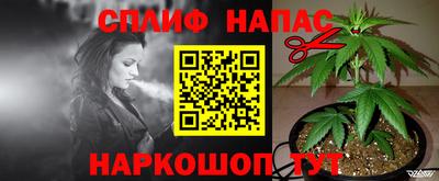 СК Заводоуковск