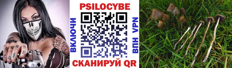 Галлюциногенные грибы MAGIC MUSHROOMS Туапсе