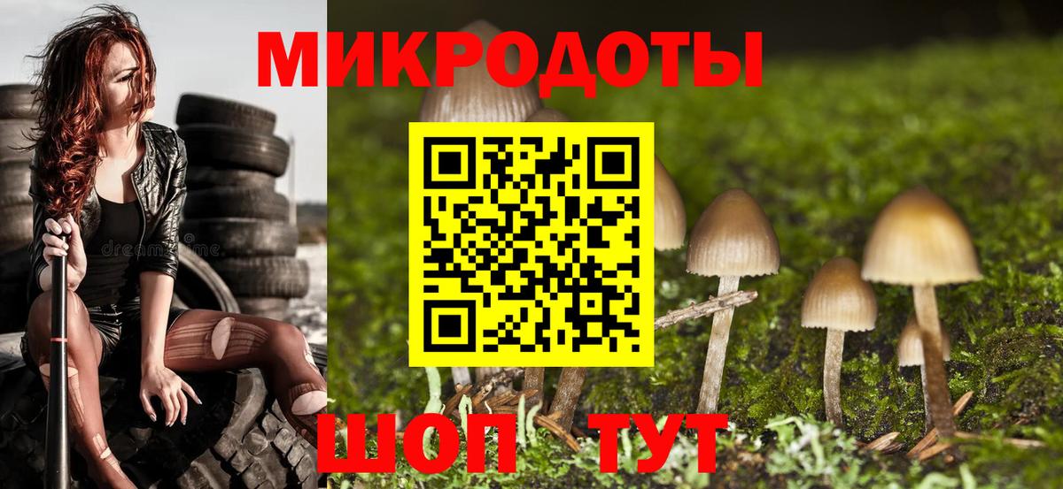Галлюциногенные грибы Psilocybe Туапсе