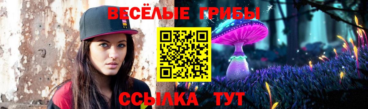 Псилоцибиновые грибы GOLDEN TEACHER  закладка  Туапсе  Вход с VPN 